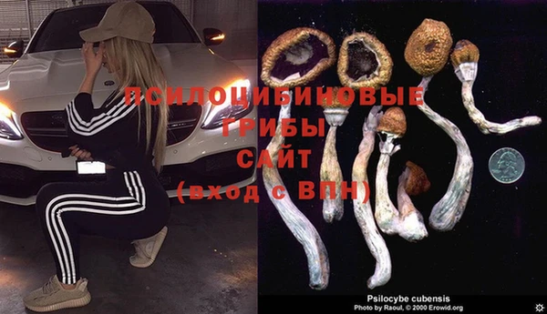МДПВ Бугульма
