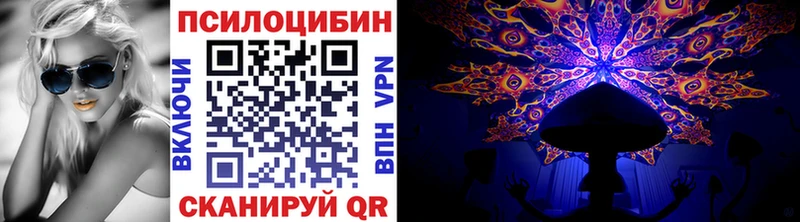дарк нет телеграм  Дзержинск  Псилоцибиновые грибы прущие грибы 