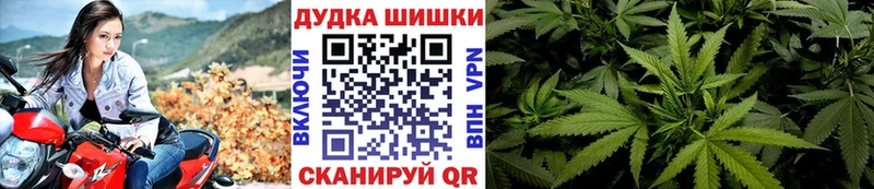 Бошки марихуана OG Kush как найти наркотики Дзержинск